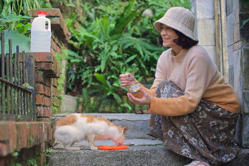 衣櫃裡的貓